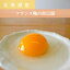 フランス鴨の卵【有精卵】22個