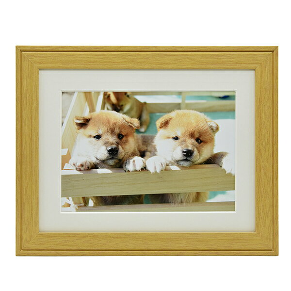 【同梱不可】フジカラー FUJICOLOR 木製額縁 YM-9 全紙 木地【受発注商品】【大型送料適用】