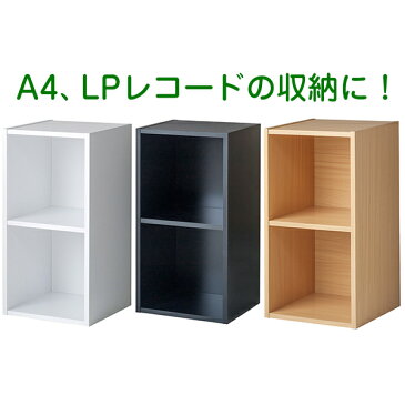 【送料無料】バイナルボックス レコードラック 2段【受発注品】