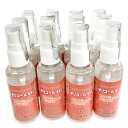 オリカ 国産 日本製 除菌用 アルコール製剤 携帯用 持ち運び 小瓶 詰替可能 ポケットサイズ オリコール 65J スプレータイプ 50ml 12本入 METI 経済産業省 アルコール事業 アルコール許可使用者 オリカ 国産 日本製 除菌用 アルコール製剤 携帯用 持ち運び 小瓶 詰替可能 ポケットサイズ オリコール 65J スプレータイプ 50ml 12本入 METI 経済産業省 アルコール事業 アルコール許可使用者