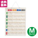 ナカバヤシ お薬カレンダー 壁掛けタイプ Mサイズ IF-3011【二つ折り配送】【ゆうパケット便】【送料無料】