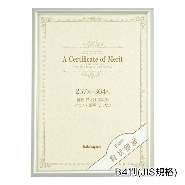 【受発注商品】ナカバヤシ アルミ 賞状額 B4 JIS規格 用紙サイズ 364mm×257mm フ-KA-16-S 化粧箱入 表彰状 卒業証書 免許書 許可書 感謝状 ポスター 写真 絵画