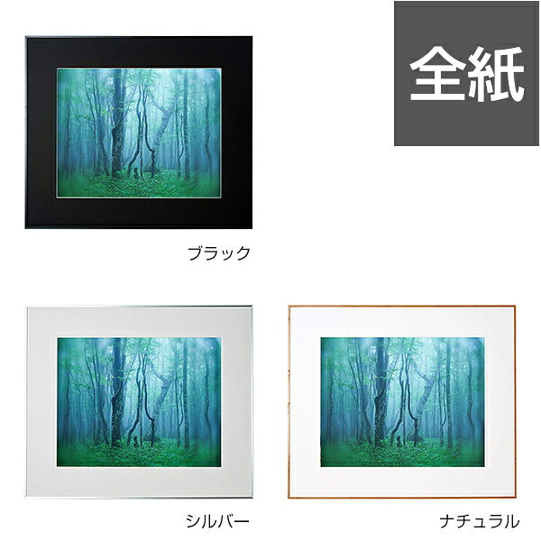【同梱不可】【受発注品】アルミ額縁 ギャラリー 全紙 AGY-Z ブラック/シルバー/ナチュラル ケンコー・トキナー【大型送料適用】