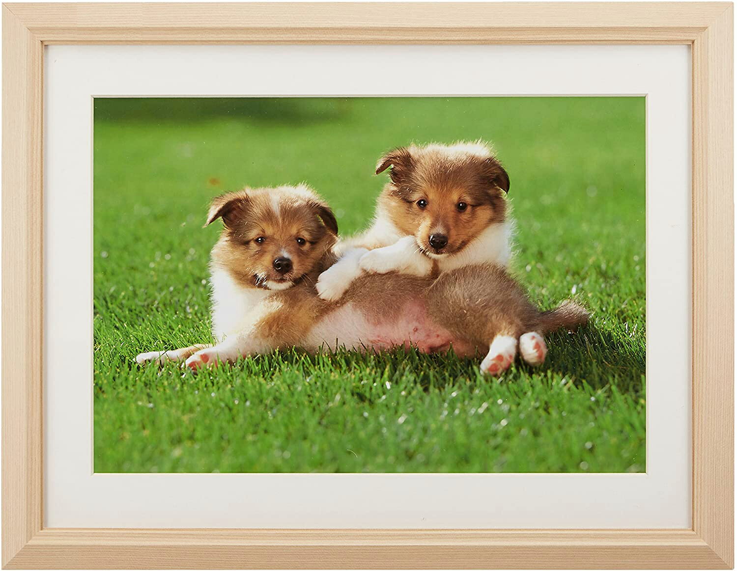 こちらの商品はご注文を頂いてからのお取り寄せ商品となります。 通常よりも発送までにお時間を頂きます。 他の商品と一緒にお買い上げの場合、すべて揃ってからのお届けとなります。 ◎ラッピング承っております◎ ※画像はイメージです。 ・木製（白木...