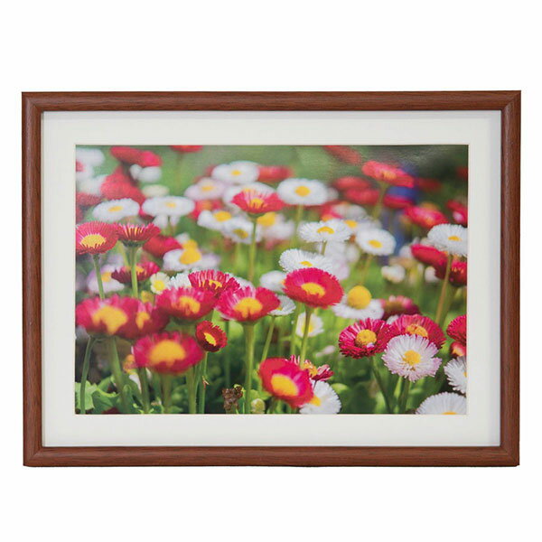 こちらの商品はご注文を頂いてからのお取り寄せ商品となります。 通常よりも発送までにお時間を頂きます。 他の商品と一緒にお買い上げの場合、すべて揃ってからのお届けとなります。 ◎ラッピング承っております◎ 【製品仕様】 ・木製 ・厚手Vカット台紙（1.3mm） ・透明PET板使用（0.5mm） ・吊紐付き 【サイズ】 ・フレームサイズ：A4 ・フレーム外寸：W352×H265mm ・フレーム内寸：W324×H237mm ・マット外寸：W332×H245mm ・マット内寸：W277×H190mm ・重量：390g JANコード：4977466407932