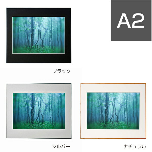 樂天商城 - 【受発注商品】ケンコー・トキナー 壁掛けフォトフレーム・額縁 アルミ額縁 ギャラリー A2 AGY-A2 ブラック/シルバー/ナチュラル ケンコー・トキナー