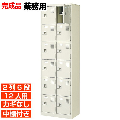 【12人用 扉付き 業務用下駄箱 完成品 靴入れ】スチール製 鍵無し・中棚付き 国産 2列6段 病院 BRI(3.0)
