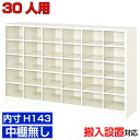 <業務用シューズボックス 高品質>薄型 内寸高さ143mm 玄関収納 下足箱 下足箱6列5段 30人用オフィス BRI