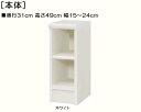 トイレ隙間収納 高さ49cm幅15〜24cm奥行31cmタオル家具 子供部屋ディスプレイ 幅を1cm単位でご指定 標準棚板ラック トイレ隙間収納 本棚 幅 19 cm 寸法 指定