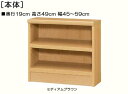 子供用本棚 高さ49cm幅45~59cm奥行19cm厚棚板(棚板厚み2.5cm)ゲームソフト収納 集会所ラック 幅を1cm単位でご指定 たゆみにくい棚板シェルフ 子供用本棚 本棚 幅 55 cm 横幅 指定
