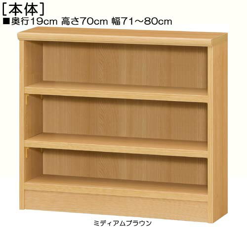 カウンター下収納 高さ70cm幅71〜80cm奥行19cm厚棚板（棚板厚み2.5cm）アメニティ家具 ダイニングディ..