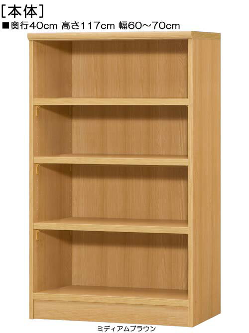 Rakuten - A4ファイル書庫 高さ117cm幅60〜70cm奥行40cm厚棚板（棚板厚み2.5cm）付録ラック 事務所棚 幅1cm単位でオーダー 厚棚板ボード A4ファイル書庫 整理棚 幅 67 cm 横幅 注文