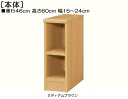 隙間収納 高さ60cm幅15〜24cm奥行46cm厚棚板(棚板厚み2.5cm)レコードディスプレイ 待合室ラック 幅1cm指定 隙間収納 タフ棚板棚 隙間収納 本棚 幅 18 cm 寸法 指定(3)