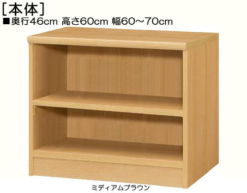 テレビ台 高さ60cm幅60〜70cm奥行46cm厚棚板（棚板厚み2.5cm）カップ本棚 廊下収納 幅オーダー1cm単位 丈夫な棚板家具 テレビ台 本棚 幅 64 cm 寸法 指定