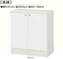 全面扉子供部屋収納 高さ60cm幅45〜59cm奥行31cm 両開き 全面扉付客間ラック 本棚 幅 54 cm 寸法 指定