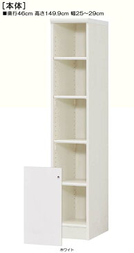下部扉リビング隙間収納高さ149.9cm幅25〜29cm奥行46cm片開き 扉高さ52.5cm 扉付客室収納 リビング隙間収納