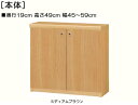 全面扉子供用本棚 高さ49cm幅45〜59cm奥行19cm厚棚板（棚板厚み2.5cm） 両開き 全面扉付子供部屋収納