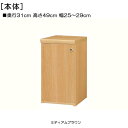 全面扉台所すきま収納 高さ49cm幅25~29cm奥行31cm厚棚板(棚板厚み2.5cm) 片開き(左開き/右開き) 全面扉付サニタリ棚 本棚 幅 28 cm 寸法 指定