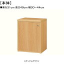 全面扉子供部屋本棚 高さ49cm幅30~44cm奥行31cm厚棚板(棚板厚み2.5cm) 片開き(左開き/右開き) 全面扉付サニタリ棚 本棚 幅 38 cm 寸法 指定