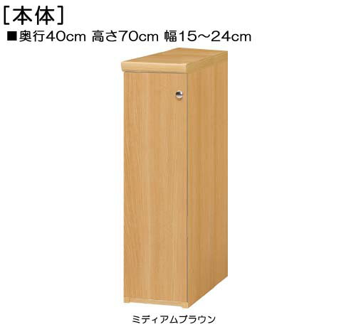 全面扉全面扉付き頑丈本箱 高さ70cm幅15～24cm奥行40cm厚棚板（棚板厚み2.5cm） 片開き(左開き/右開き) 全面扉付リビング棚 本棚 幅 18 cm 寸法 指定