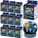 ギャラクシースノードームライト 10個セット