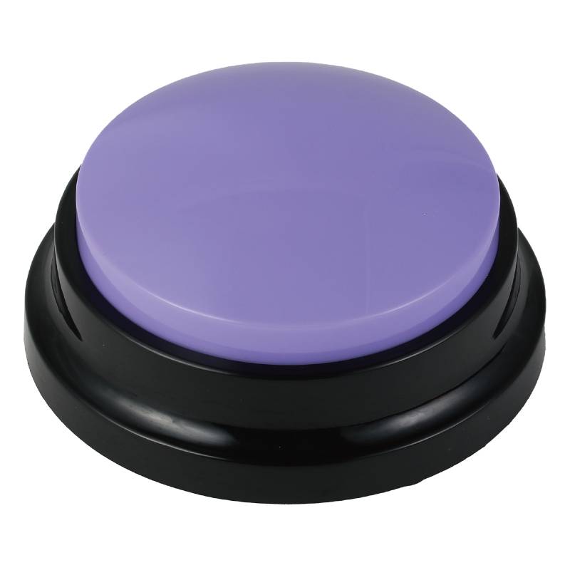 RECプッシュ パープル