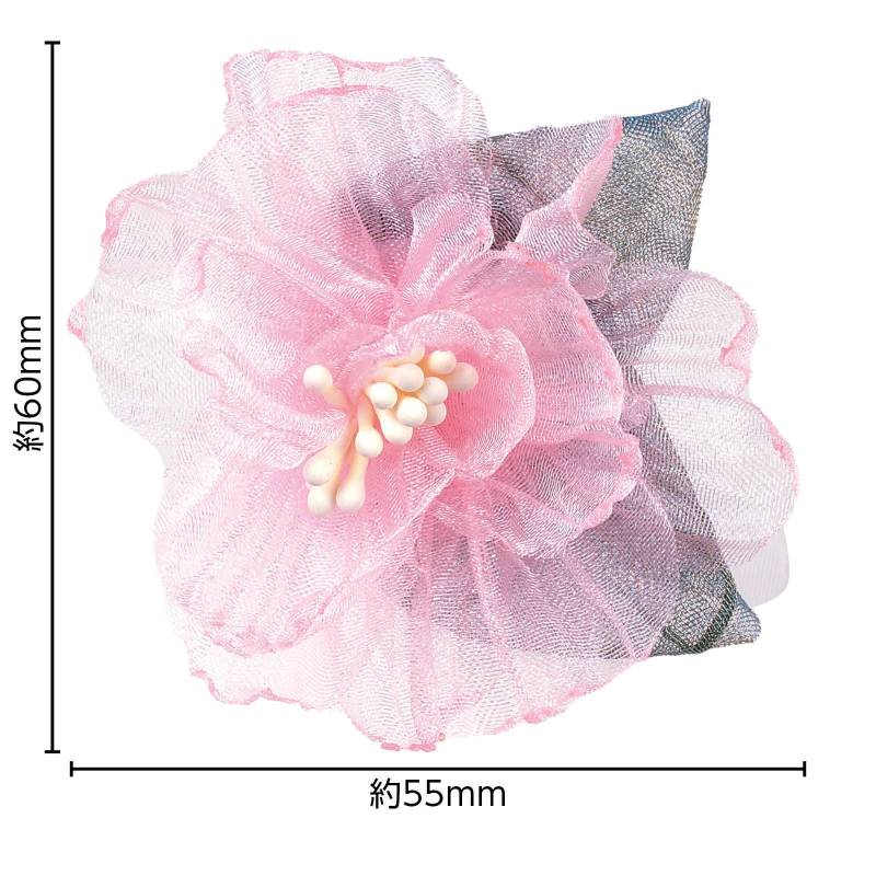 ���������� �졼���ե� �ԥ�