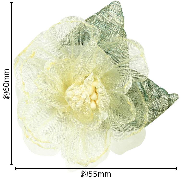 ���������� �졼���ե� ��������