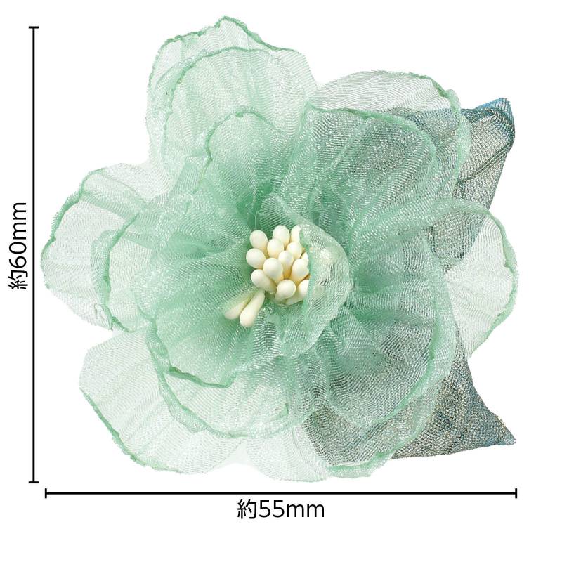 ���������� �졼���ե� ���꡼��