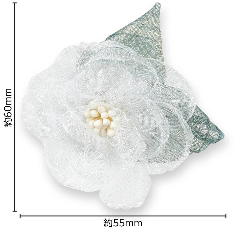 ���������� �졼���ե� �ۥ磻��