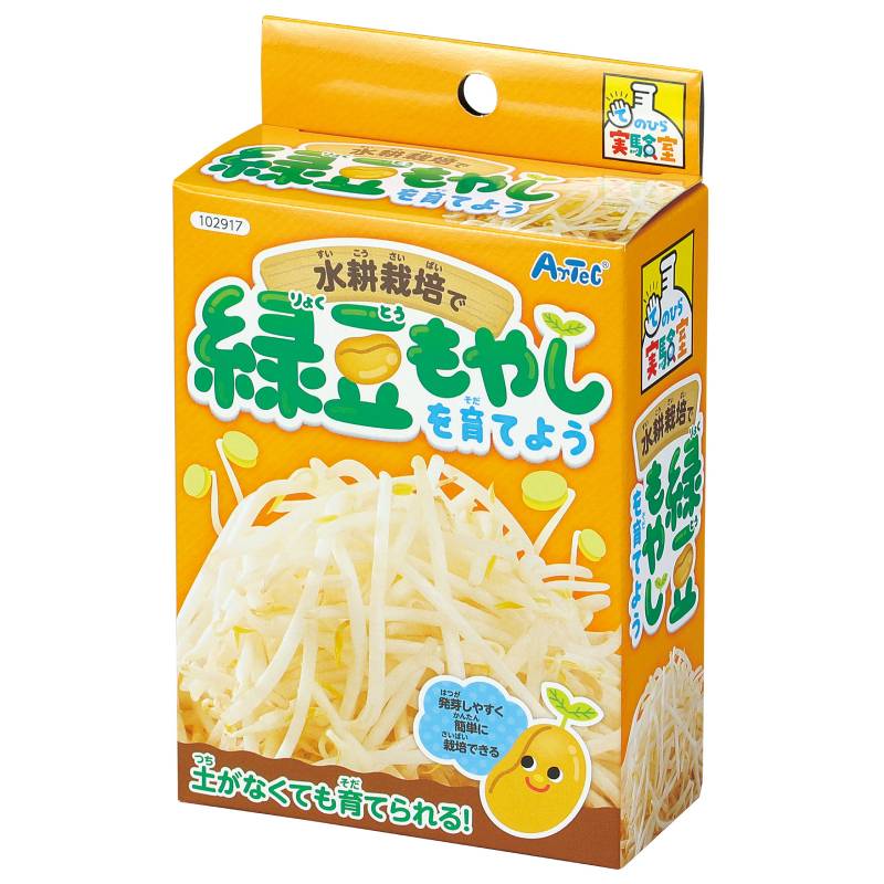 水耕栽培で緑豆もやしを育てよう