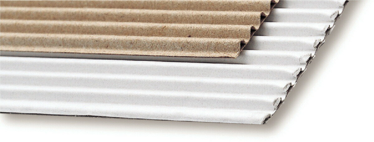 片段ボール 2色組