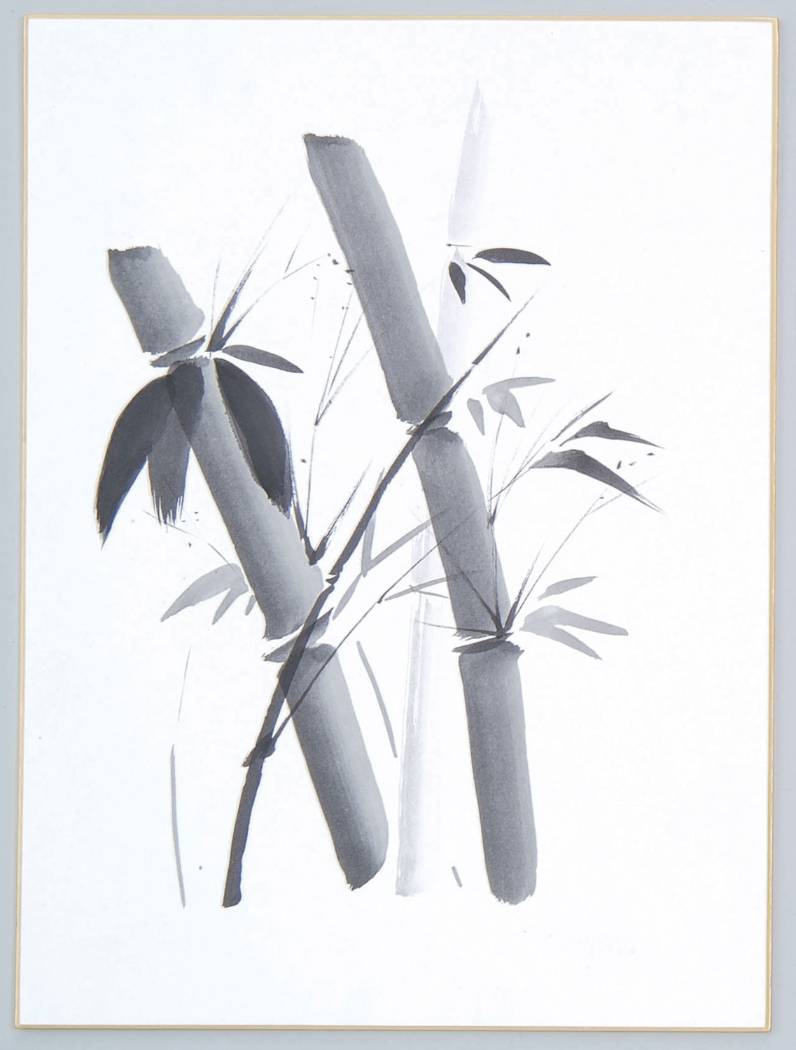色紙 F6号 画仙張 松 吸込