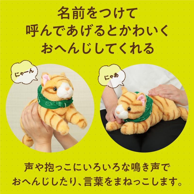 よんで！だっこして！おへんじアニマル2 猫 3