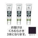 ターナー アクリルガッシュ ジャパネスクカラーシリーズ 20ml 363くろむらさき 3個