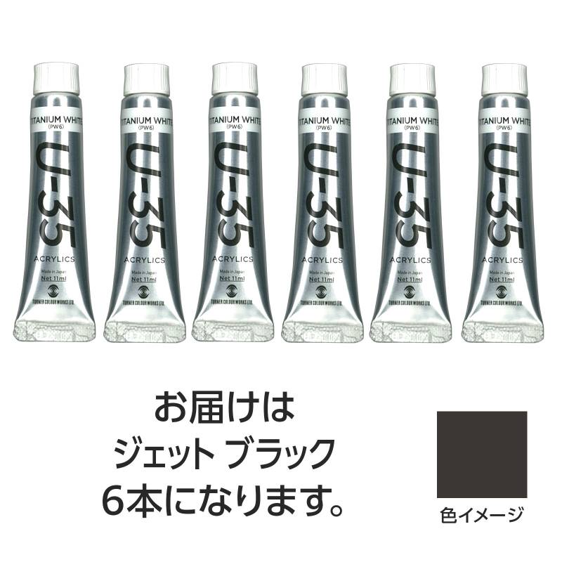 ターナー U35 ジェットブラック11ml 6個