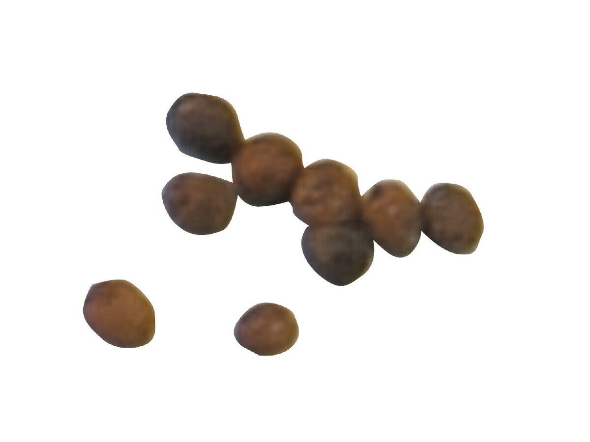 �֤μ� �ۥ�����