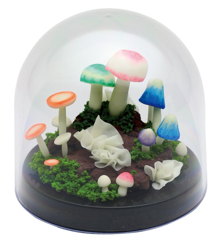 乐天商城 - 光るきのこテラリウムキット