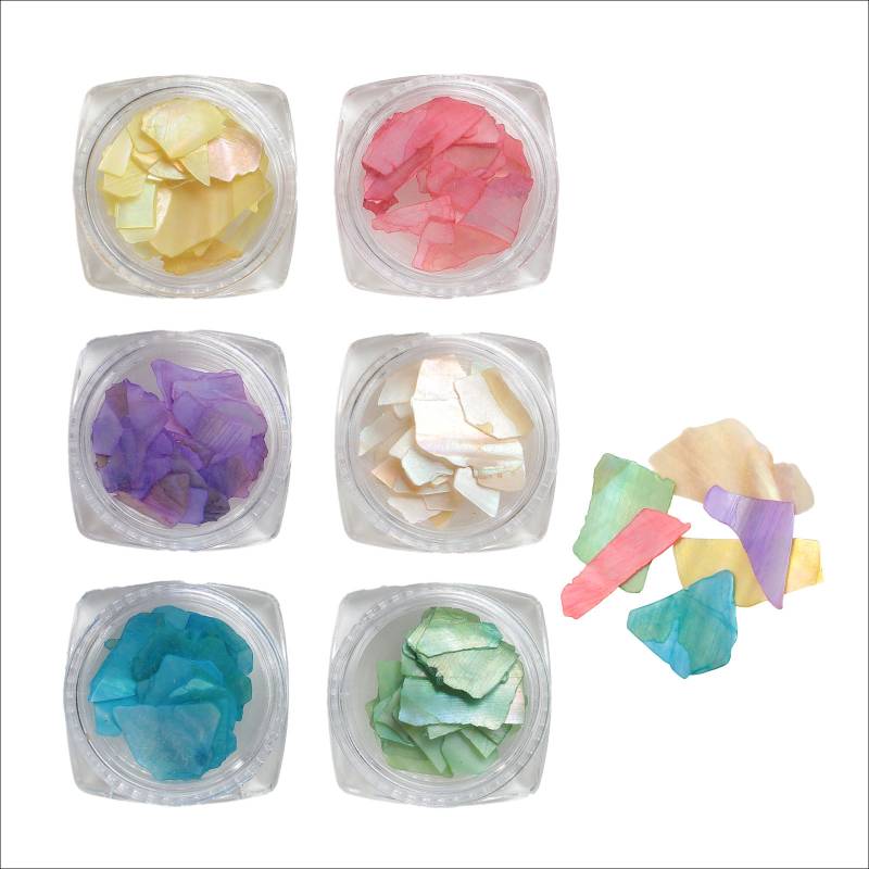 シェルフレーク 6種