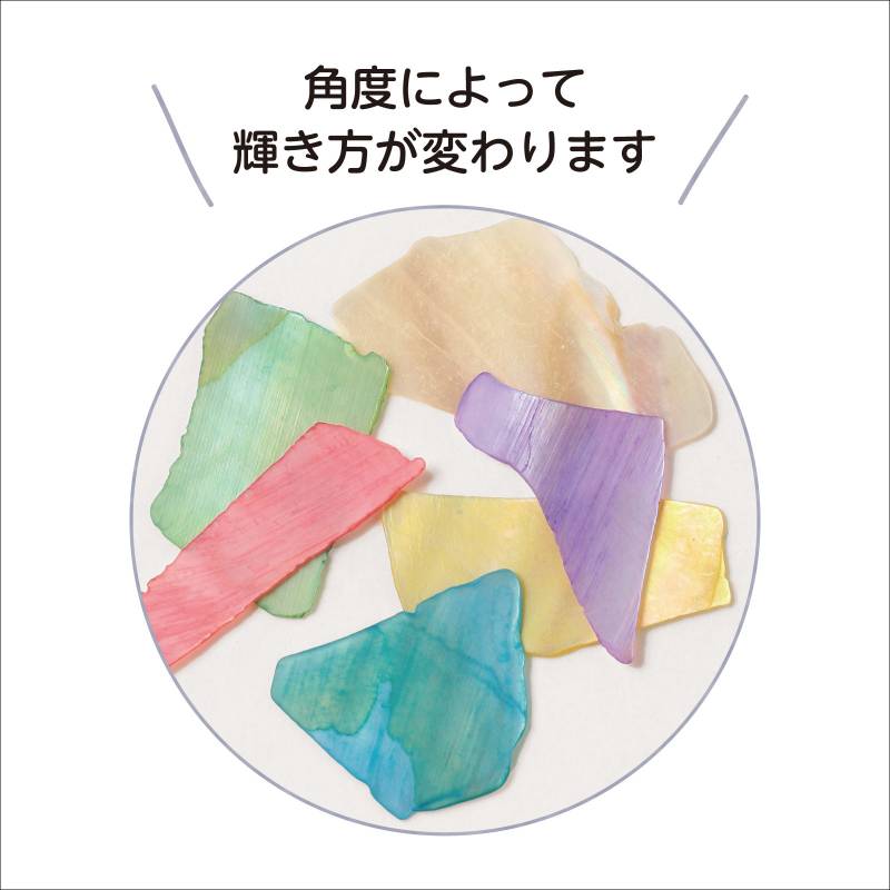 シェルフレーク 6種
