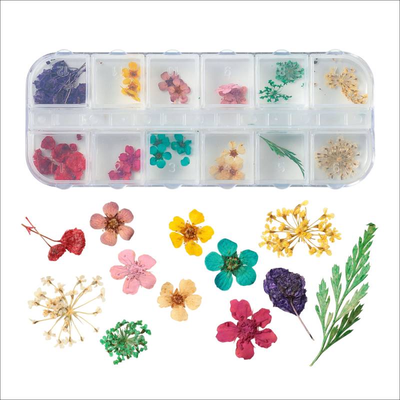 ドライフラワー 12種
