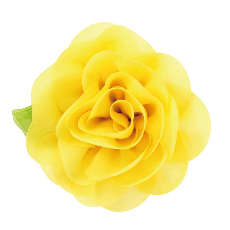 ����������Хå� ��������