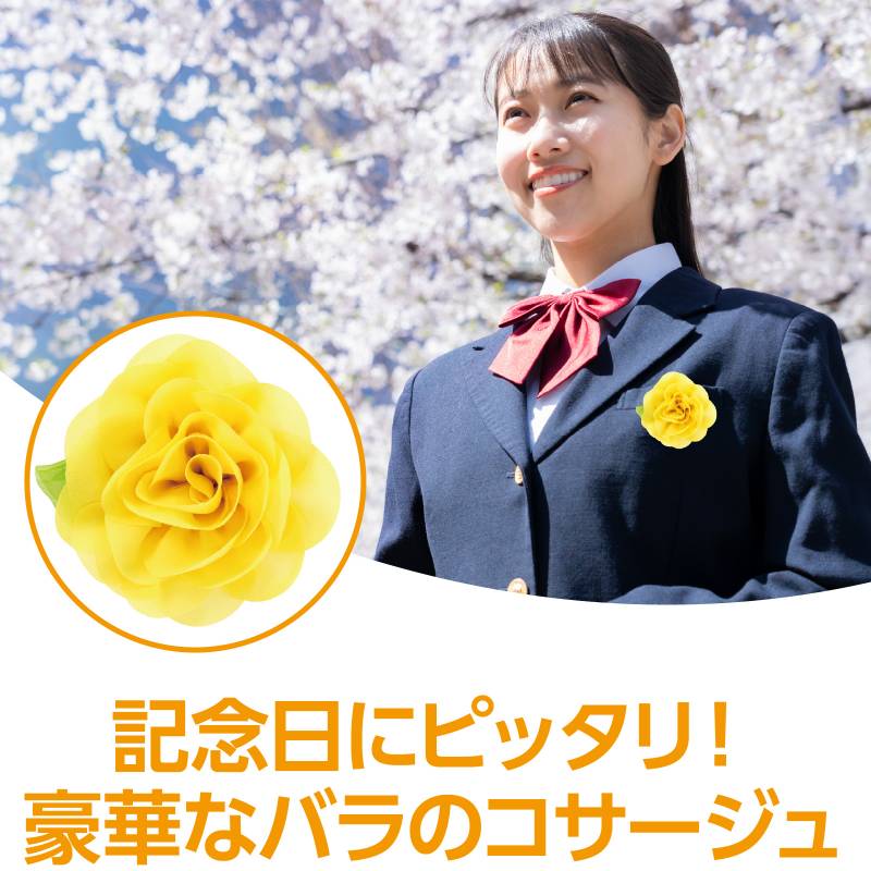 ����������Хå� ��������