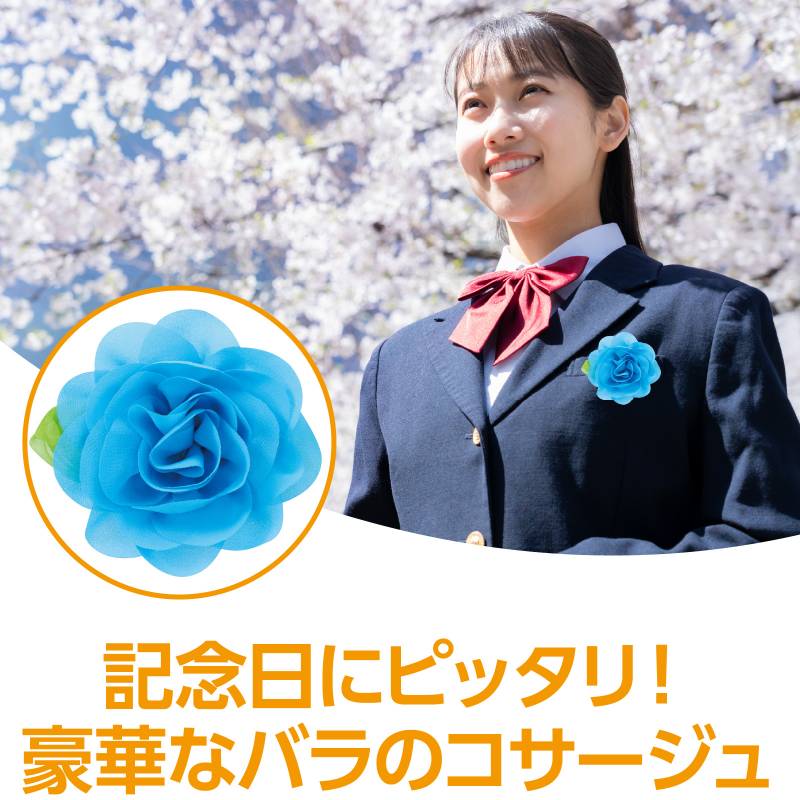 ����������Хå� �֥롼