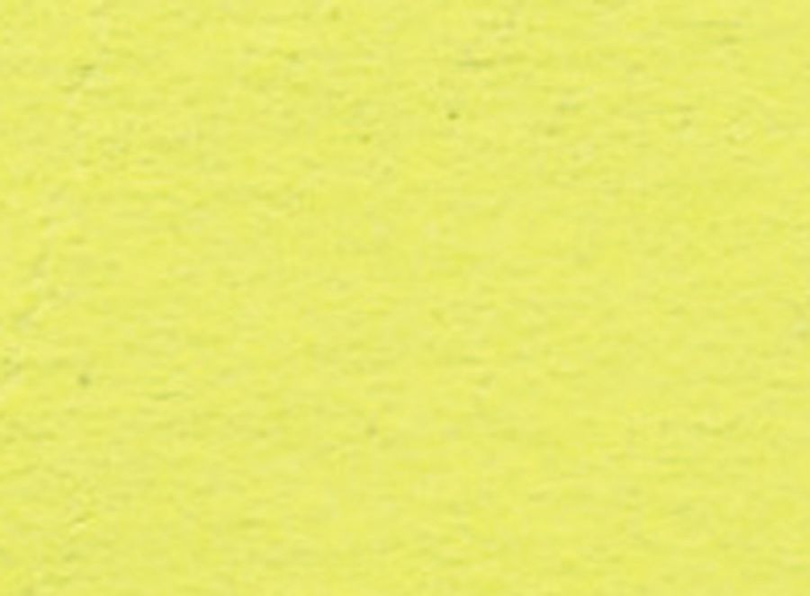 ニューカラー4切 10枚 2004 フラッシュレモン