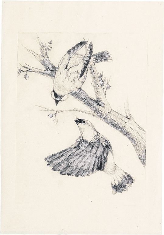 マットPP板 小（240×180×0.5mm）