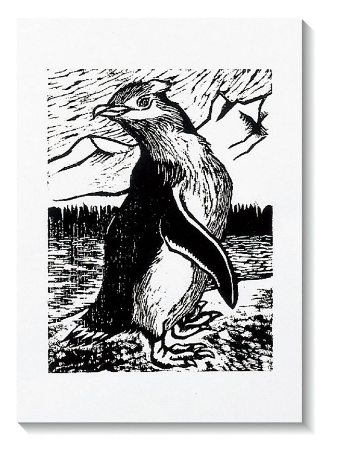 ���餫 �����ǲ��»� 86KG 8�ڡ�100���