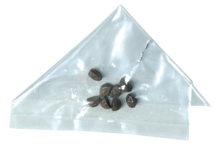 ���������μ�������ա�