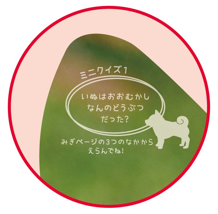 しばいぬさんのだいすきブック 3