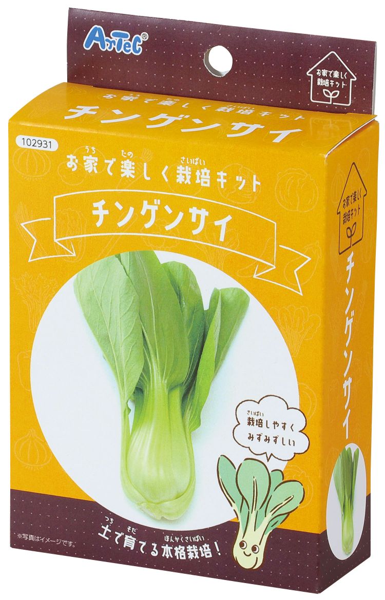 お家で楽しく栽培キット チンゲンサイ